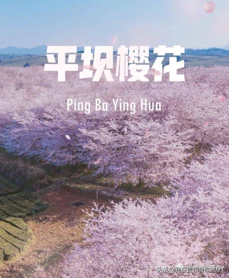 逃离春雨下的房子